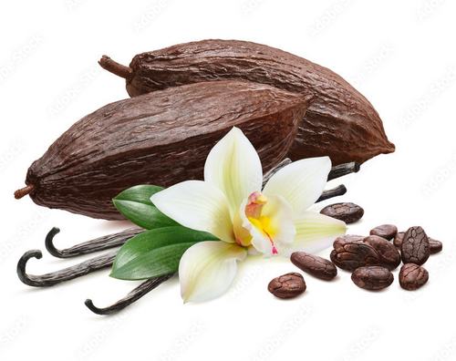 Cocoa Vanilla Herbal Body Oil