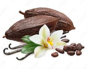 Cocoa Vanilla Herbal Body Oil