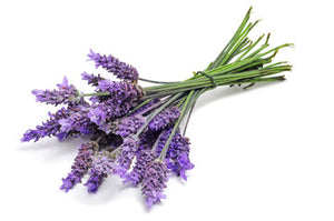 Lavender Peppermint Body Butter